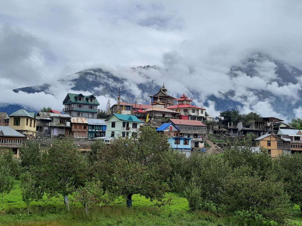 Wanderers Homestay -All Mountain Facing Rooms กัลป์ ภายนอก รูปภาพ