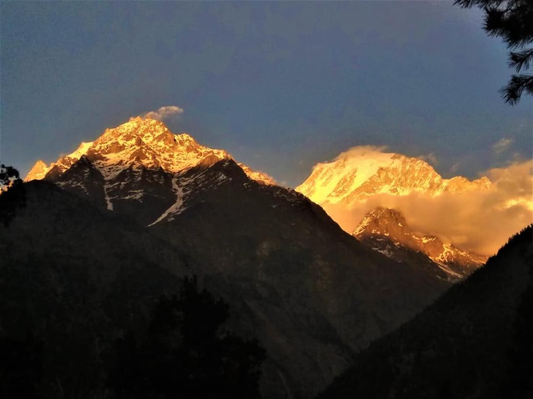 Wanderers Homestay -All Mountain Facing Rooms กัลป์ ภายนอก รูปภาพ
